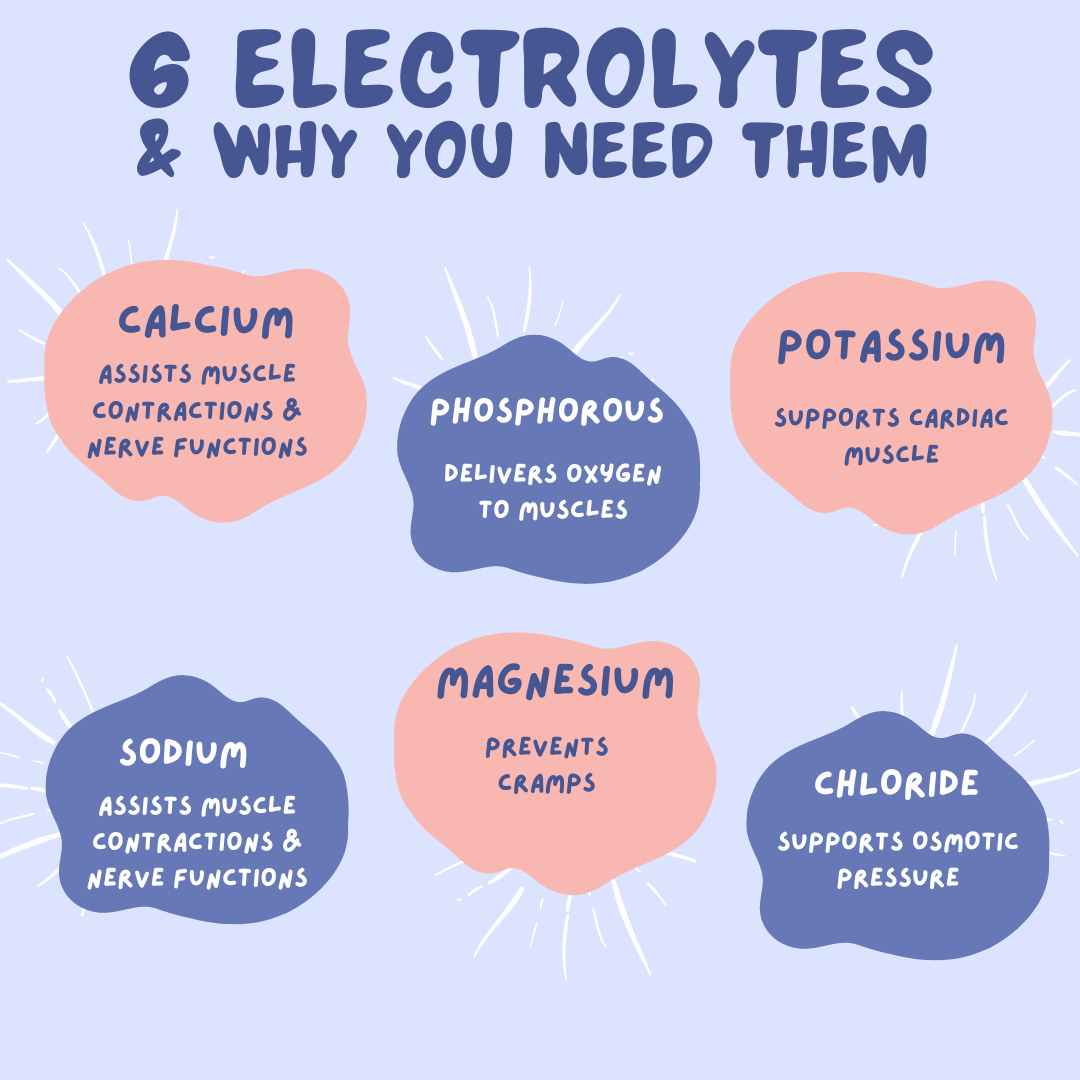 Just Hydrate - Electrolytes - Just Protein
